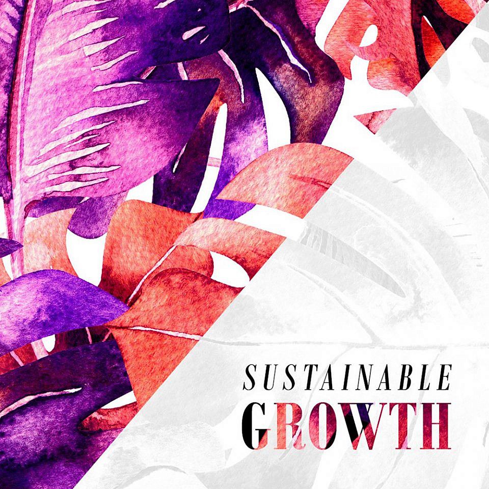 Sustainable Growth